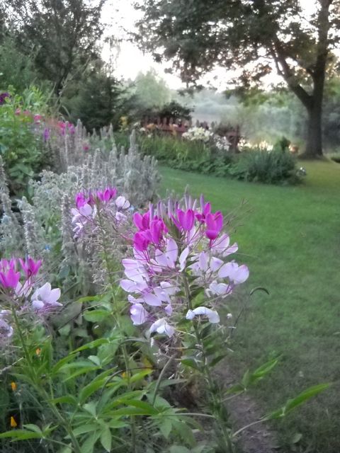 Lakeside-garden-in-Albion-Indiana.-Photo-by-D.-Fran-Morley